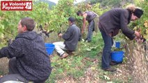 Aveyron : des vendanges 2014 réussies