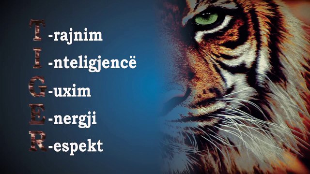 Taekwondo Hapkido Academy Tiger - Kids Class