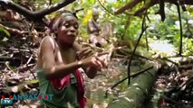 Comment les pygmées Baka du Cameroun font des bébés dans leurs petites huttes