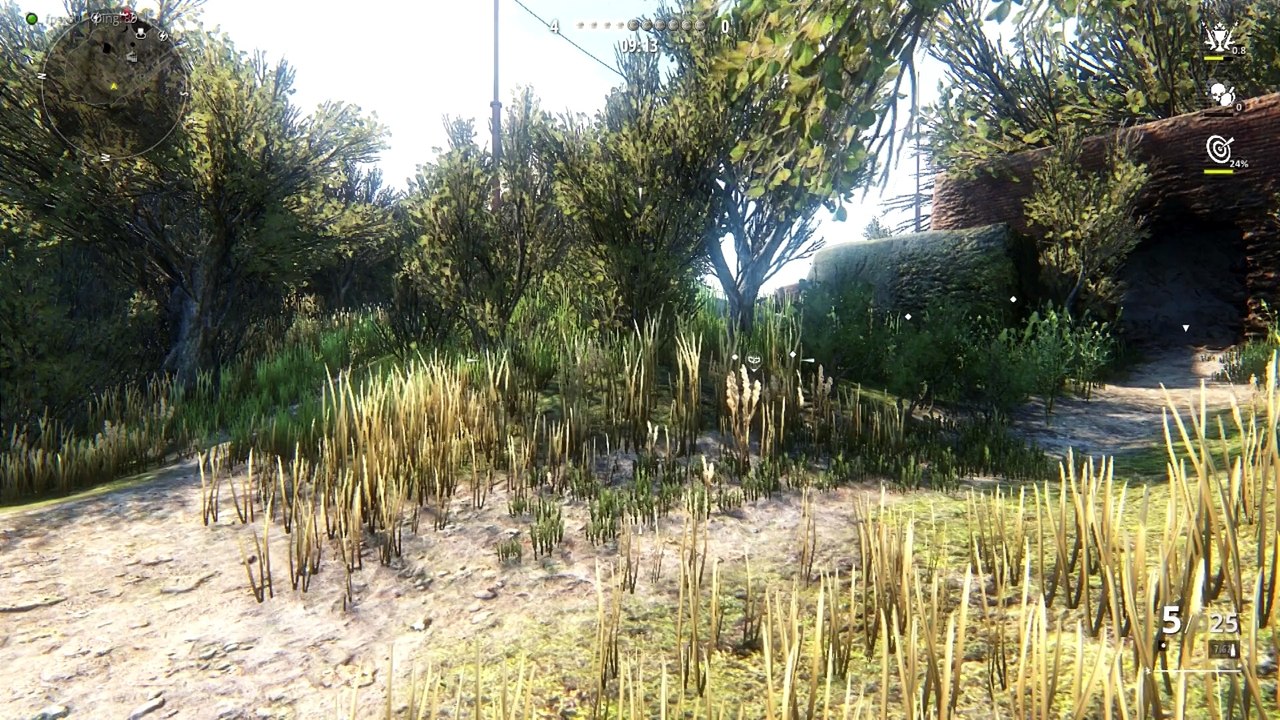 Quelques infos tout en essayant de survivre.