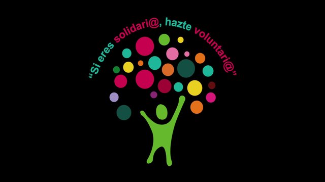 Voluntariado 2014 Protagonistas