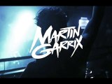 Martin garrix - animals (adrien toma private edit)