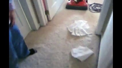 [+18 ~ Sexy Funny Girl]Guilty Dog Caught Red Headed