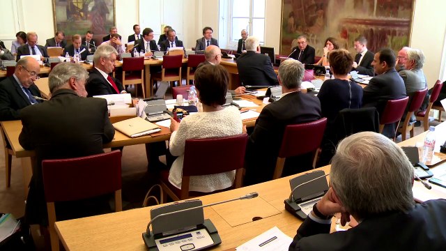 [Entretien] PJL délimitation des régions : l'avis des groupes politiques du Sénat