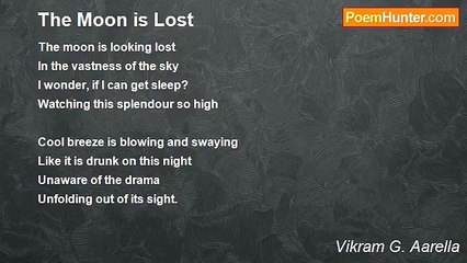 Vikram G. Aarella - The Moon is Lost