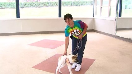 I Bet You Have Never Seen A Dog Like This One!