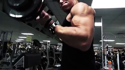 Biceps Breakdown - MOTIVATION - marcfitt.com