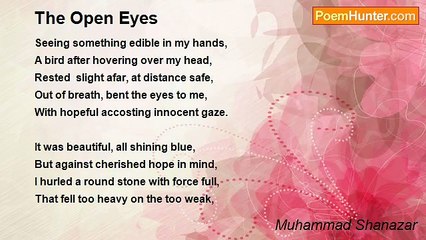 Muhammad Shanazar - The Open Eyes