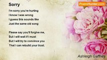 Ashleigh Gaffney - Sorry