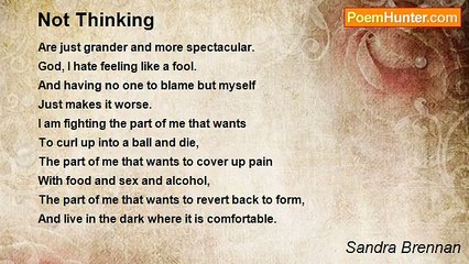 Sandra Brennan - Not Thinking