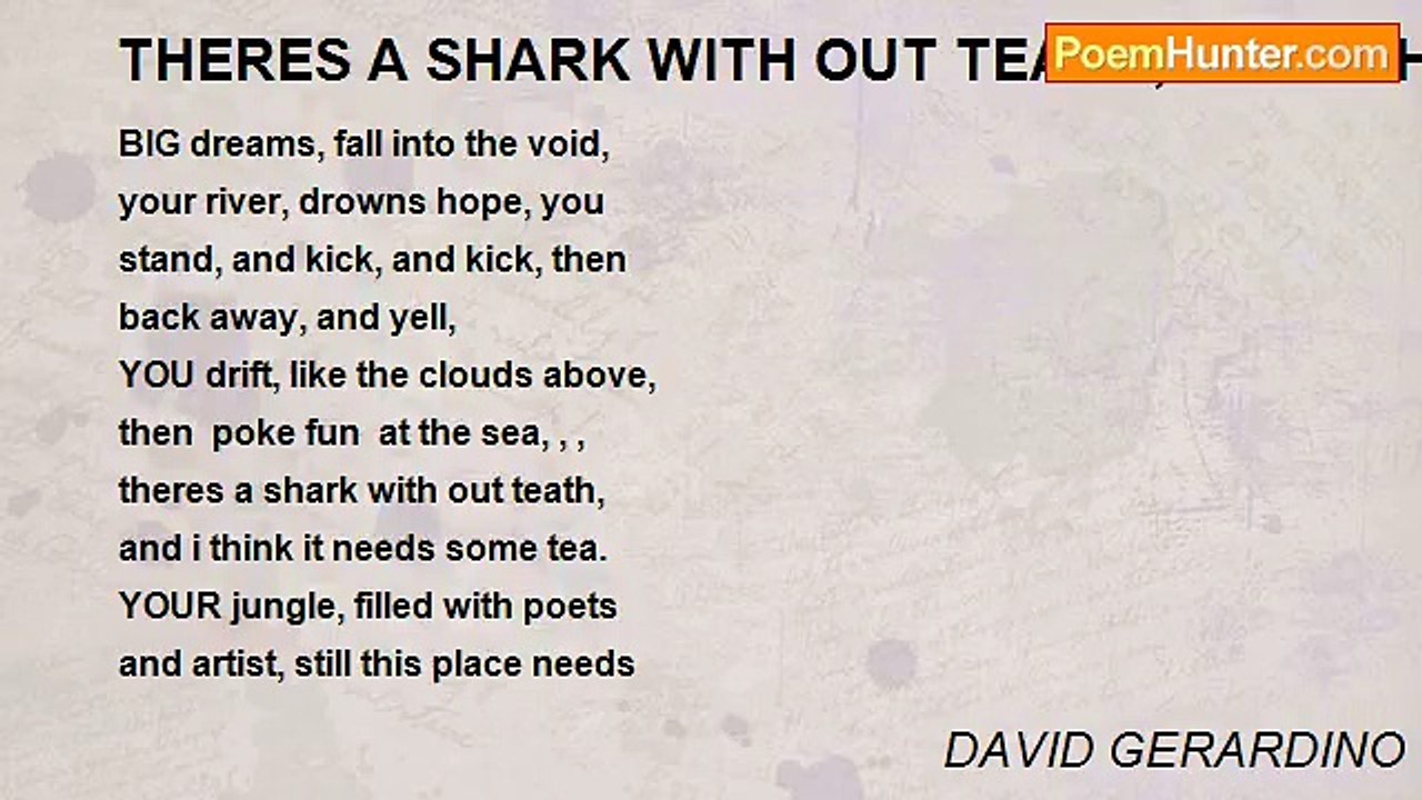 DAVID GERARDINO - THERES A SHARK WITH OUT TEATH...