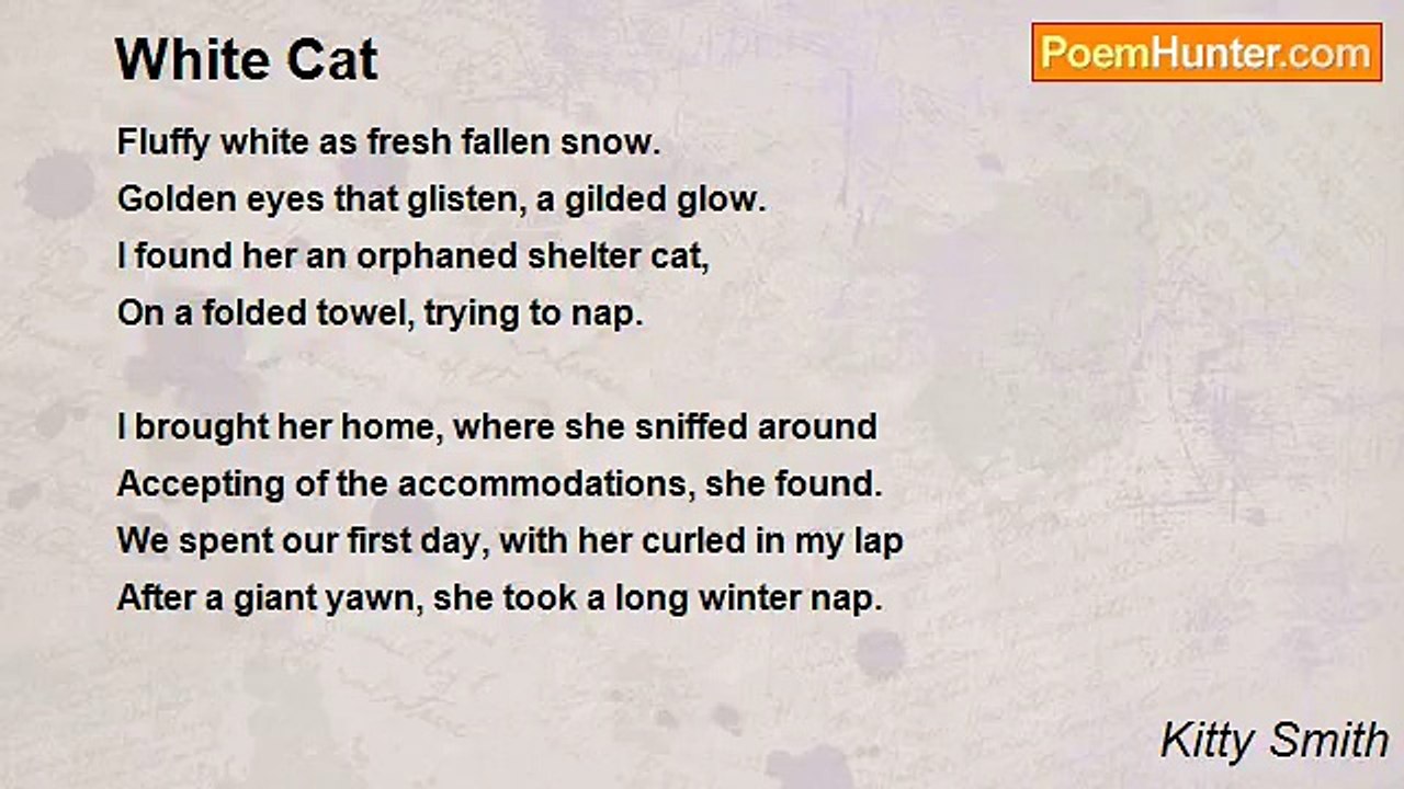 Kitty Smith - White Cat