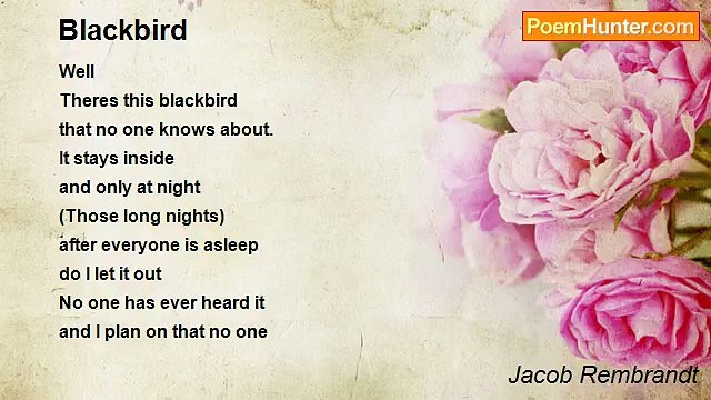 Jacob Rembrandt - Blackbird
