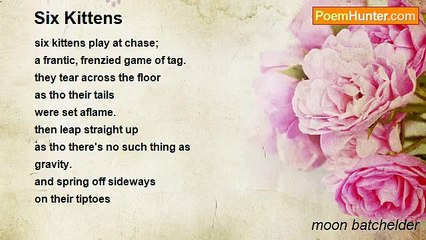 moon batchelder - Six Kittens