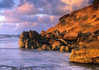 TUTO commant trouver son ficher map sur farmign simulator 2013