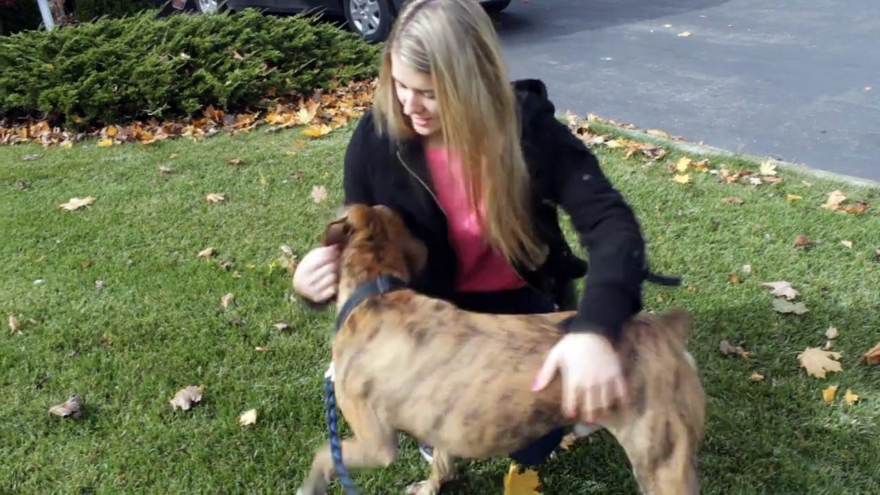 White people vs. Brown people with dogs