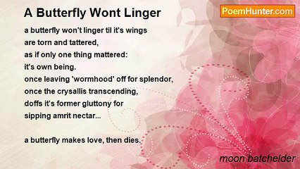 moon batchelder - A Butterfly Wont Linger