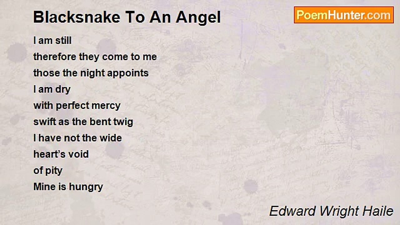 Edward Wright Haile - Blacksnake To An Angel