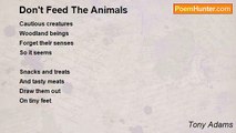 Tony Adams - Don't Feed The Animals