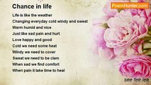 see fee lee - Chance in life