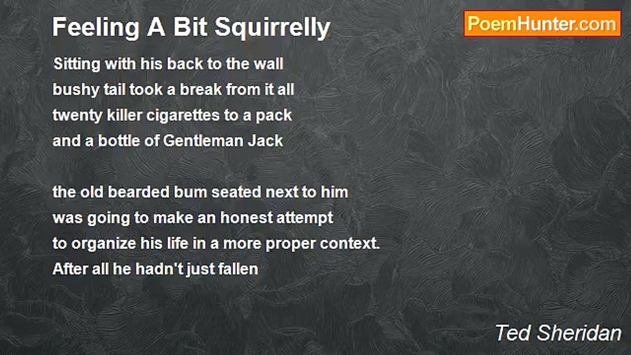 Ted Sheridan - Feeling A Bit Squirrelly