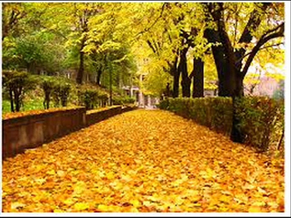 Aşık Sefai-Derdim Bitmiyor Ki