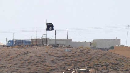 State Dept. Is Looking Into ISIS's Anti-Aircraft Weapons