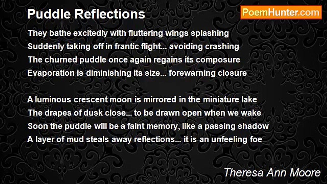Theresa Ann Moore - Puddle Reflections