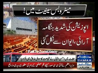 Ahsan Iqbal reply causes uproar in Senate