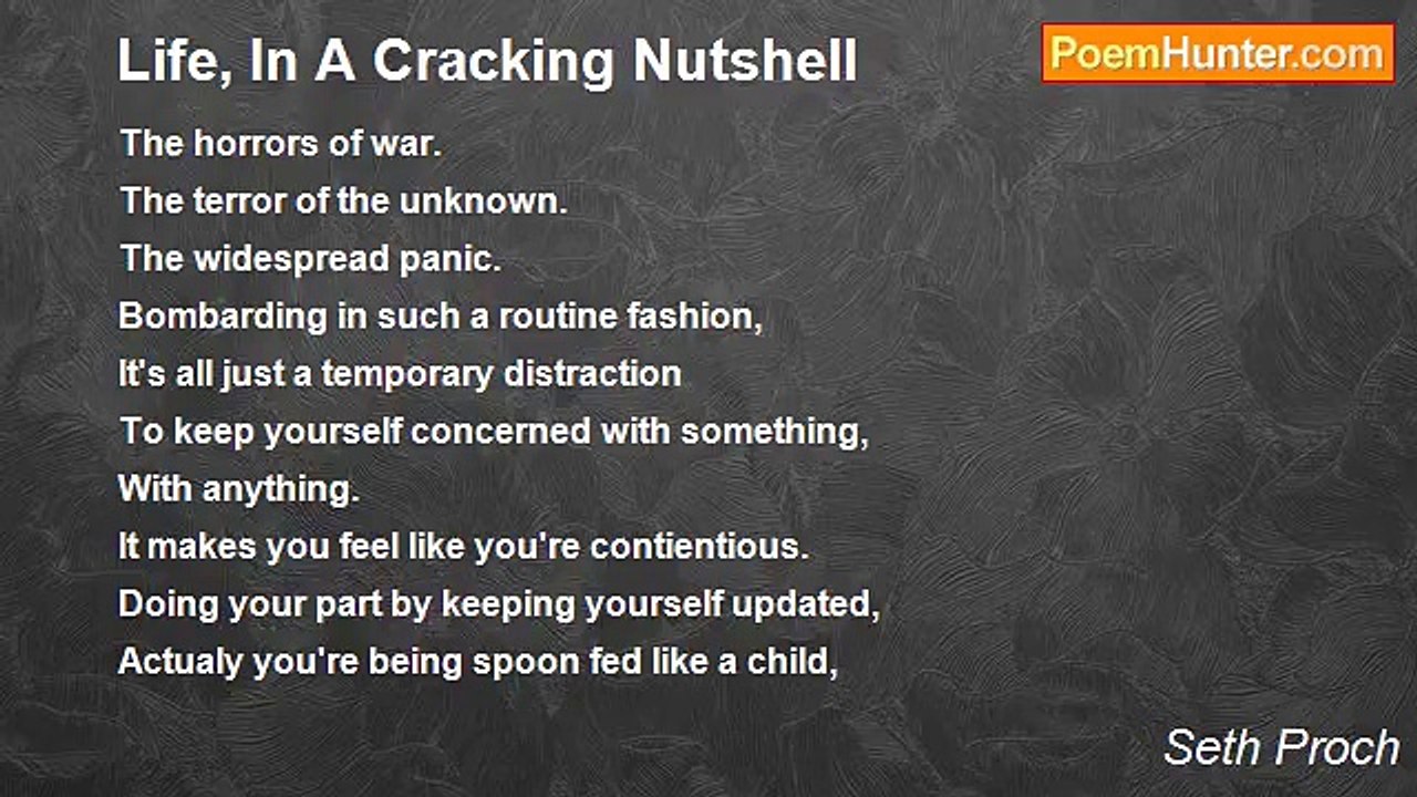 Seth Proch - Life, In A Cracking Nutshell