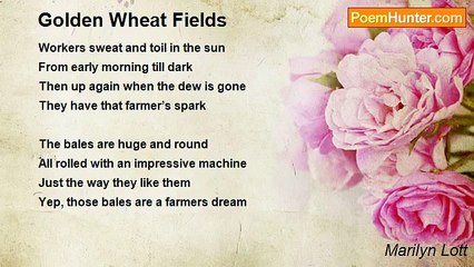 Marilyn Lott - Golden Wheat Fields