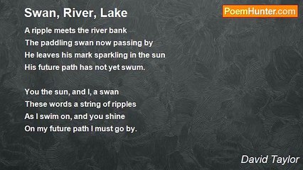 David Taylor - Swan, River, Lake