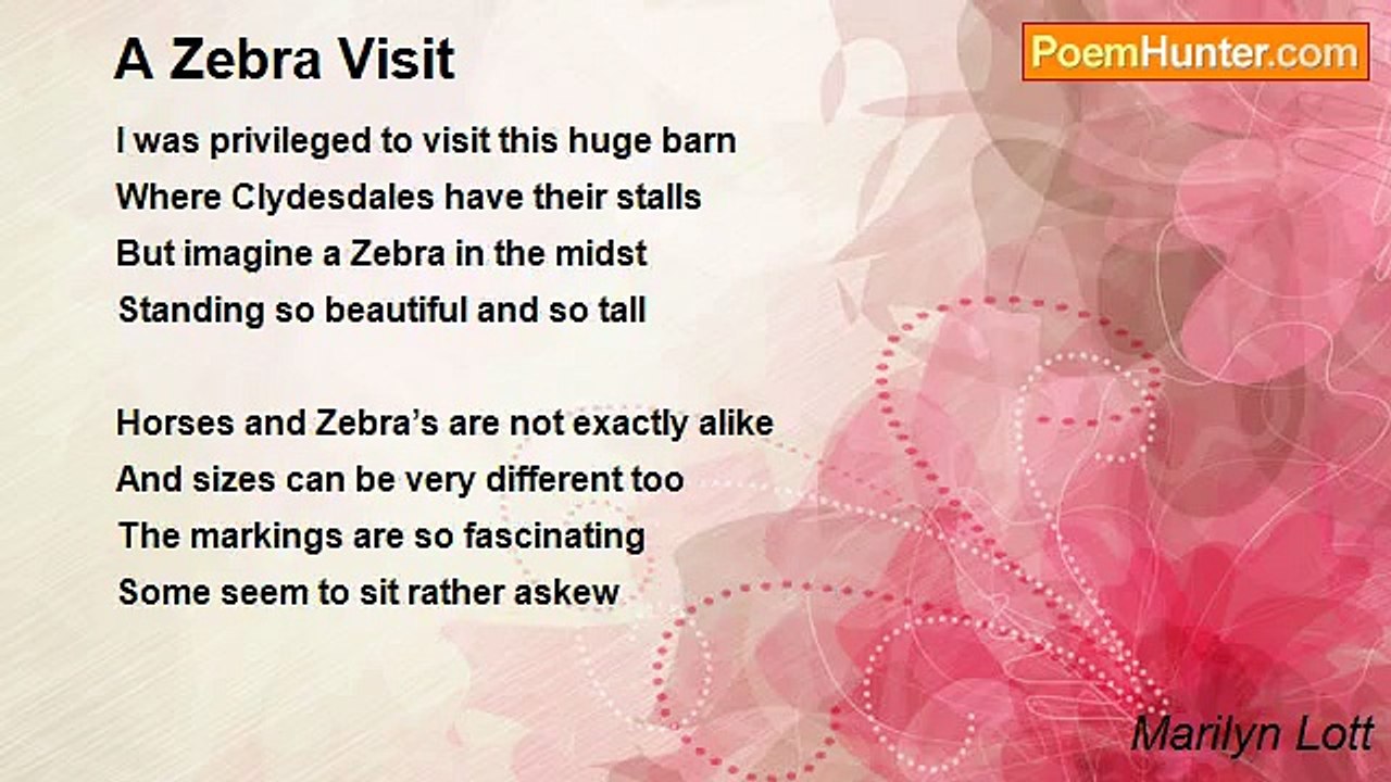 Marilyn Lott - A Zebra Visit