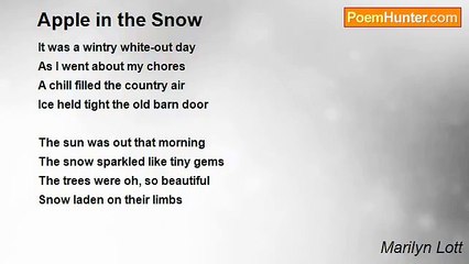 Marilyn Lott - Apple in the Snow