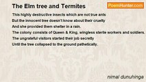 nimal dunuhinga - The Elm tree and Termites