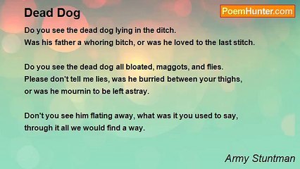 Army Stuntman - Dead Dog