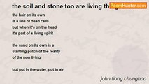 john tiong chunghoo - the soil and stone too are living things