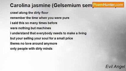 Evil Angel - Carolina jasmine (Gelsemium sempervirens)