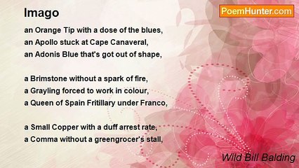 Wild Bill Balding - Imago