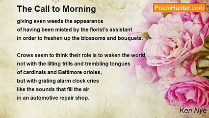Ken Nye - The Call to Morning
