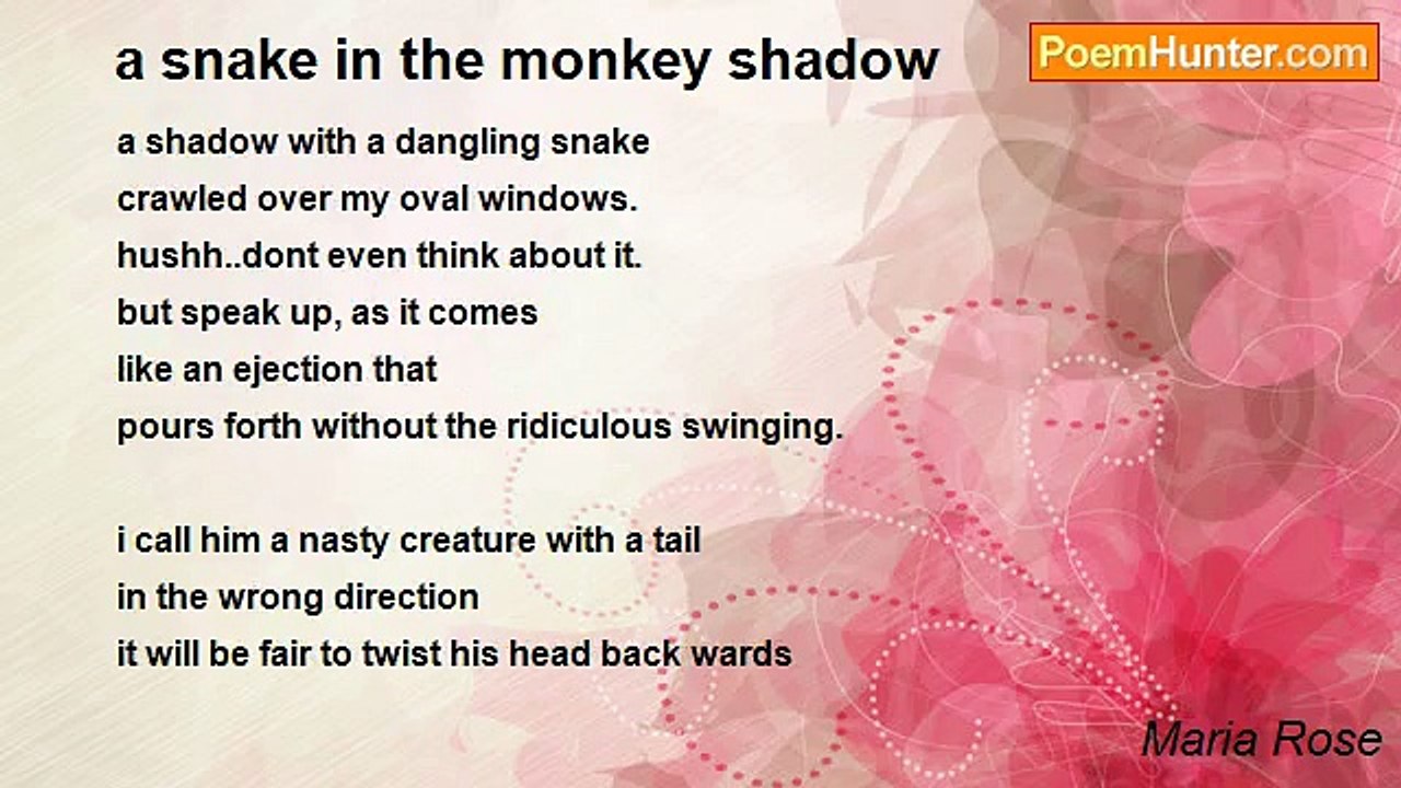 Maria Rose - a snake in the monkey shadow
