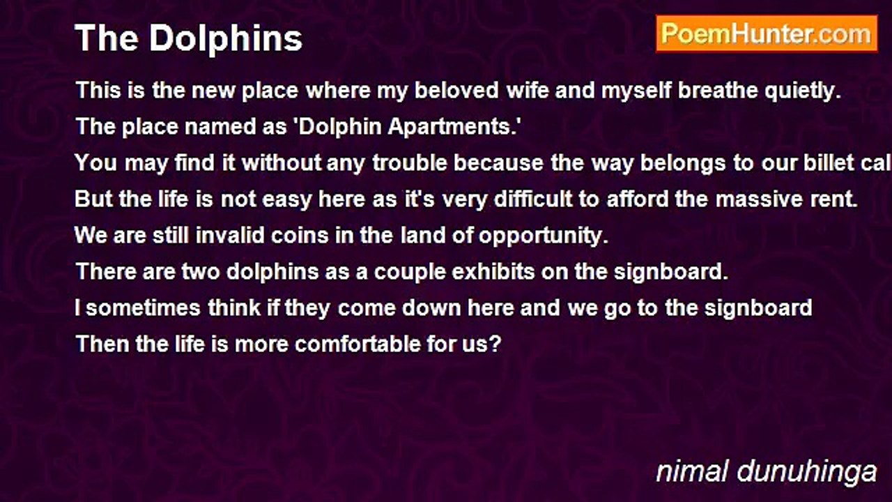 nimal dunuhinga - The Dolphins