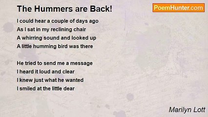 Marilyn Lott - The Hummers are Back!