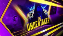 The Undertaker VS Brock Lesnar WWE WRESTLEMANIA 30 full match