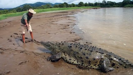 Eliyle Timsah Besleyen Adam