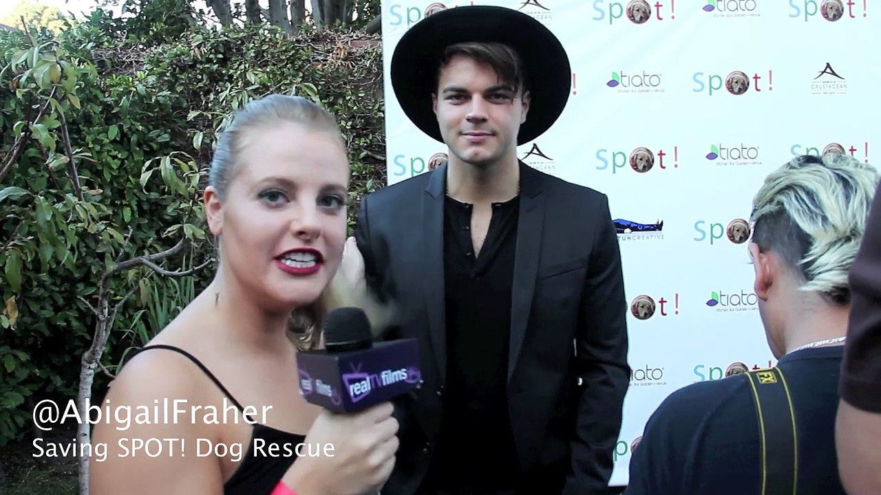 Josh Golden, SINGER SONGWRITER, Saving Spot Rescue benefit, Abigail Fraher