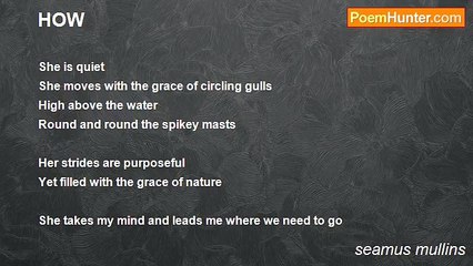 seamus mullins - HOW