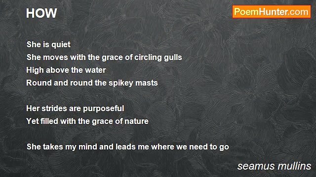 seamus mullins - HOW