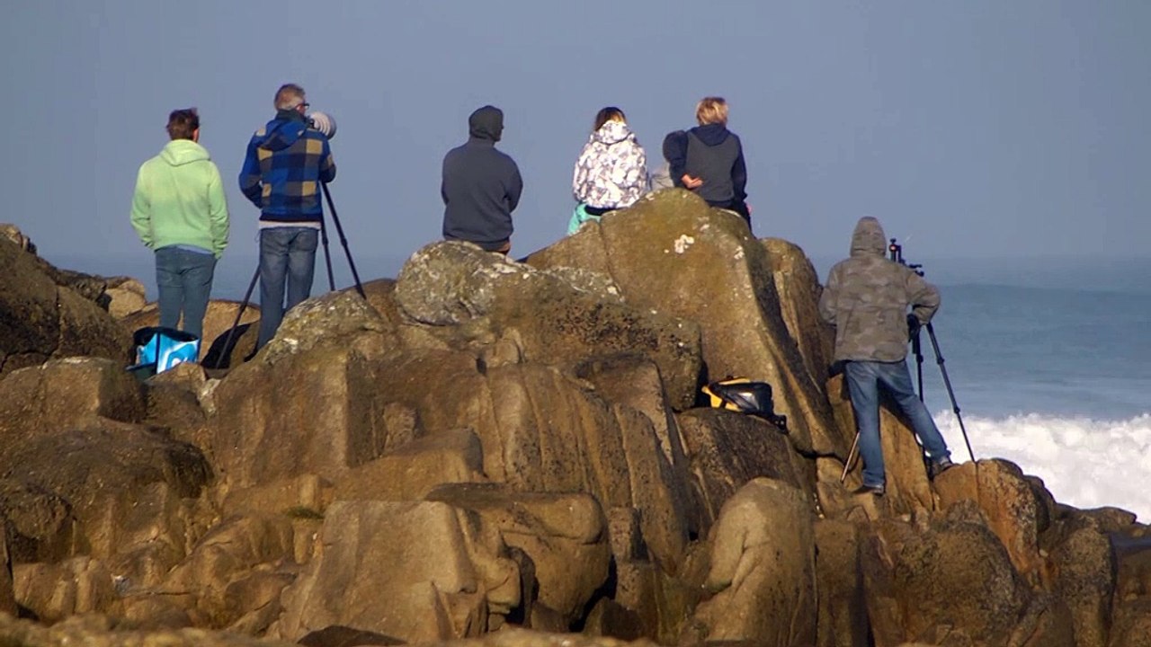 Surf - Espectaculares imágenes desde La Torche (Francia)