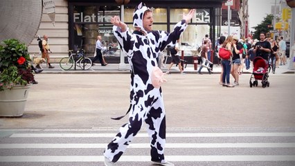 12 Weirdest Laws in the U.S.